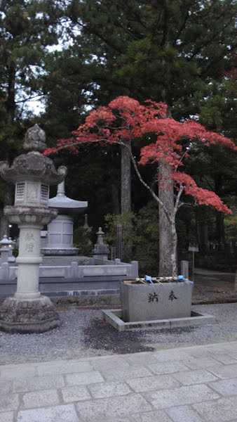 a stone lantern and a small tree with red leaves frame gravestones